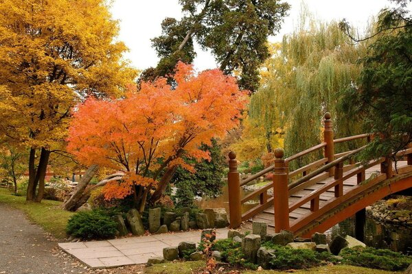 Herbstpark mit Holzbrücke