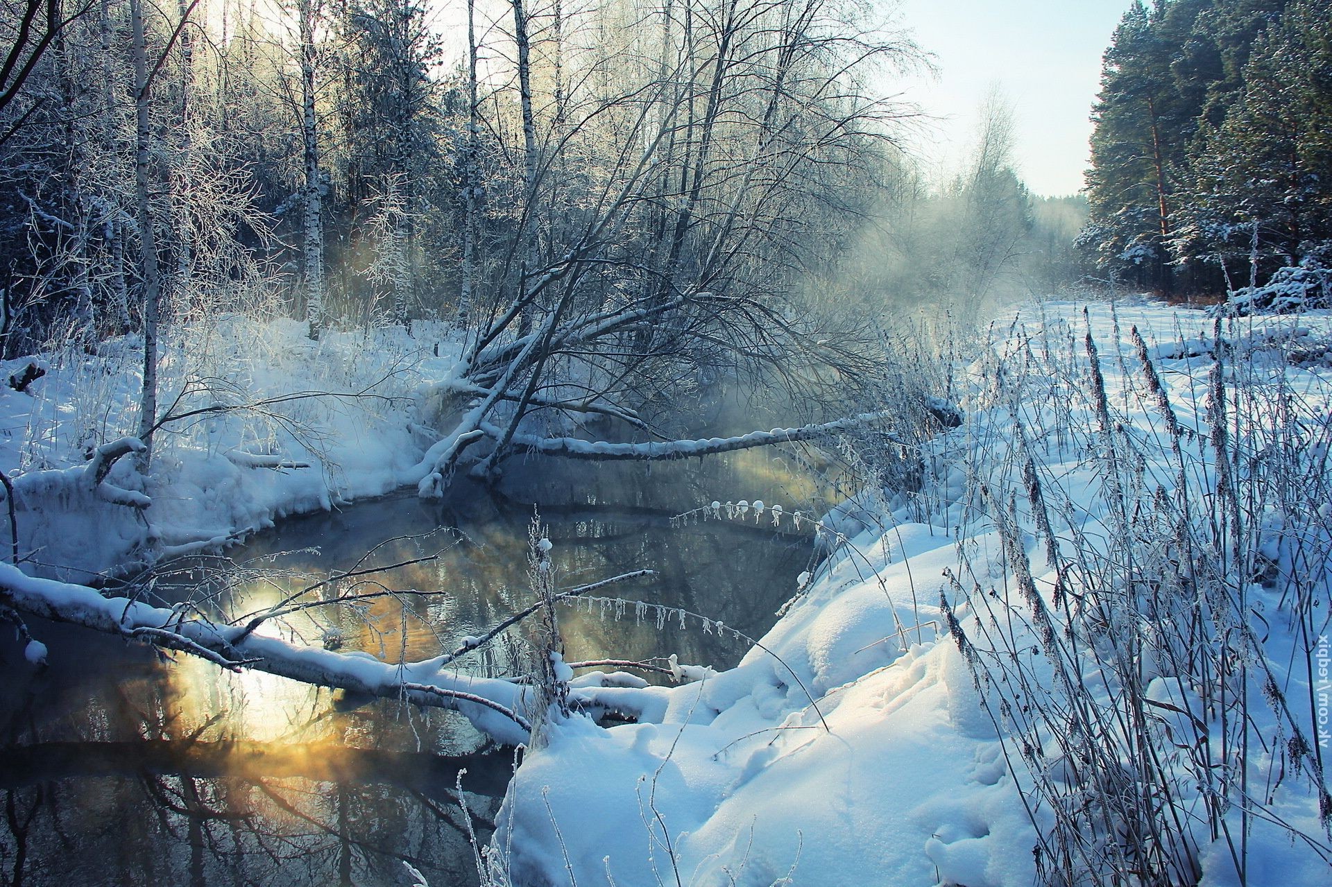 rivers ponds and streams winter snow cold landscape frost ice water nature tree frozen wood river weather outdoors fog season environment park reflection