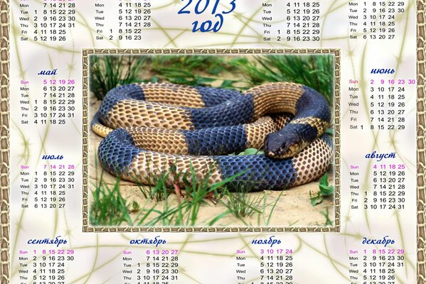 The blue snake. Calendar for 2013