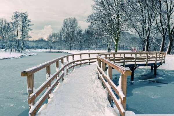 Ponte de madeira em uma lagoa de inverno no parque