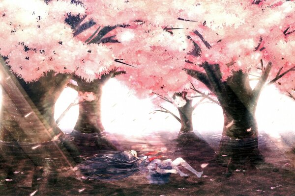 Anime girl under delicate sakura