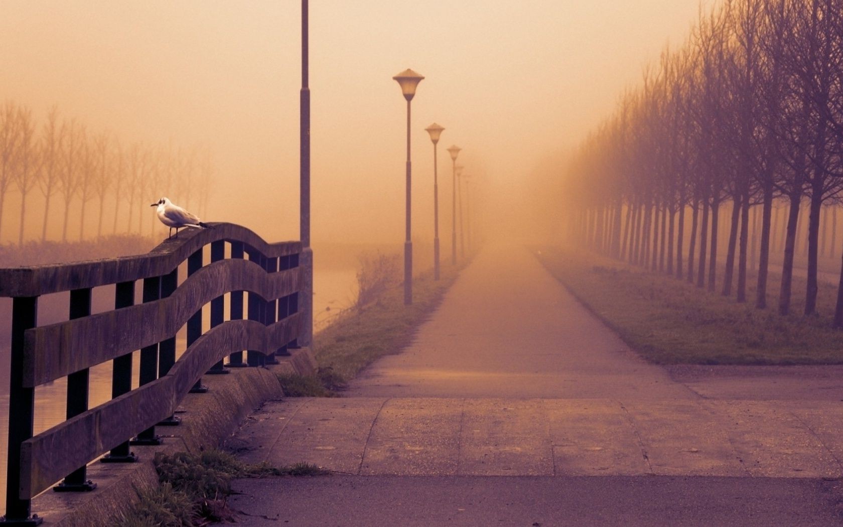 landscapes dawn fog sunset winter light mist outdoors dusk evening weather sky landscape snow travel water