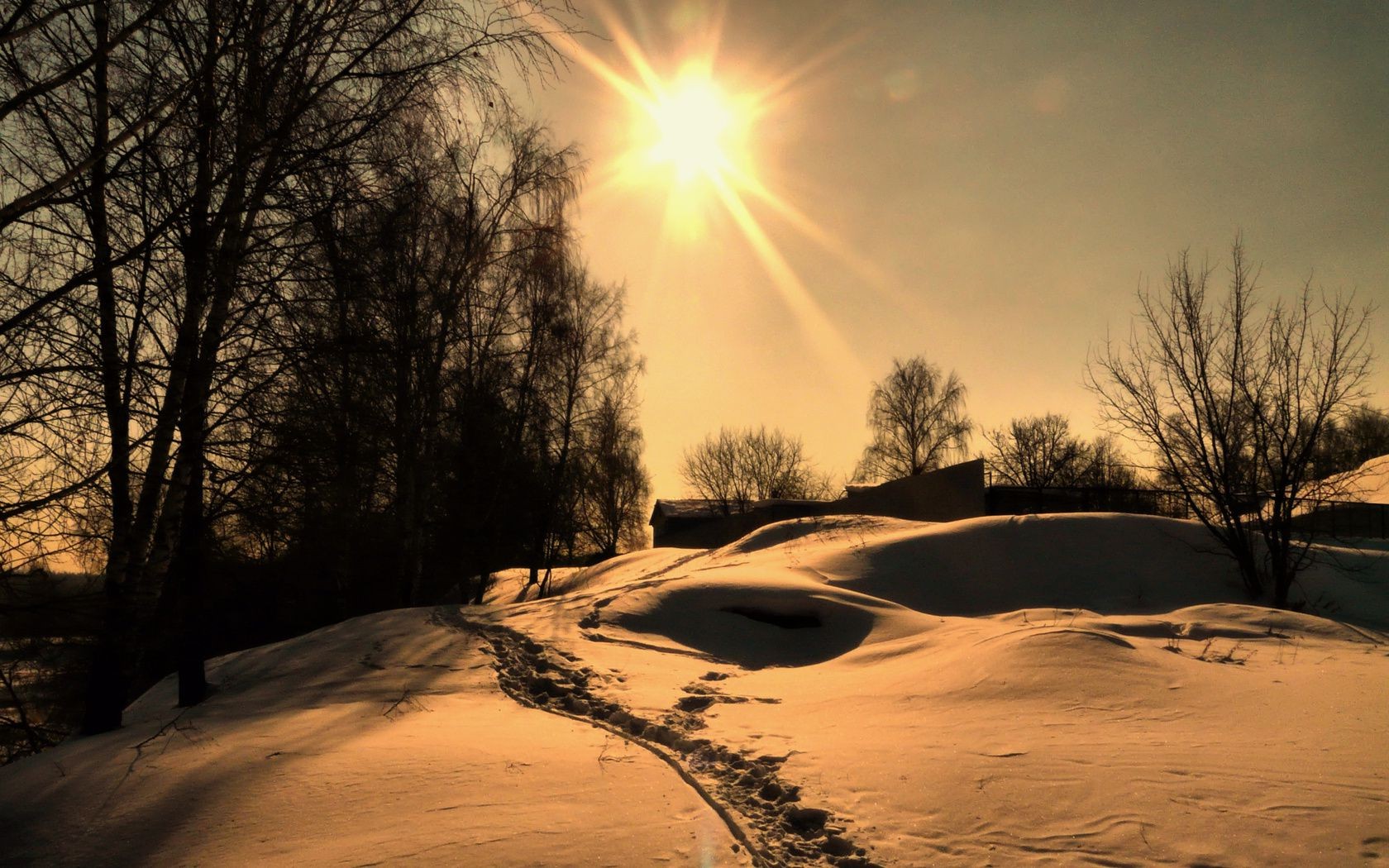 hiver aube neige coucher de soleil paysage arbre soleil nature beau temps soir froid ciel glace lumière météo