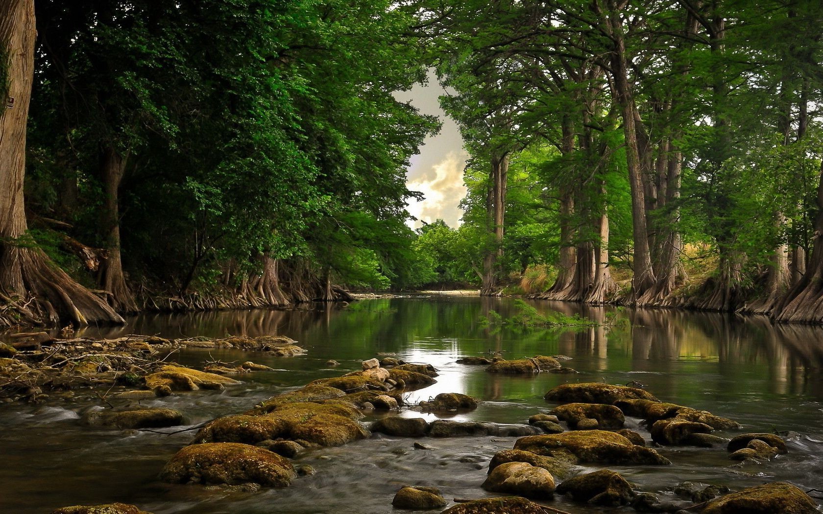 rivers ponds and streams water nature wood river tree leaf travel landscape outdoors summer stream