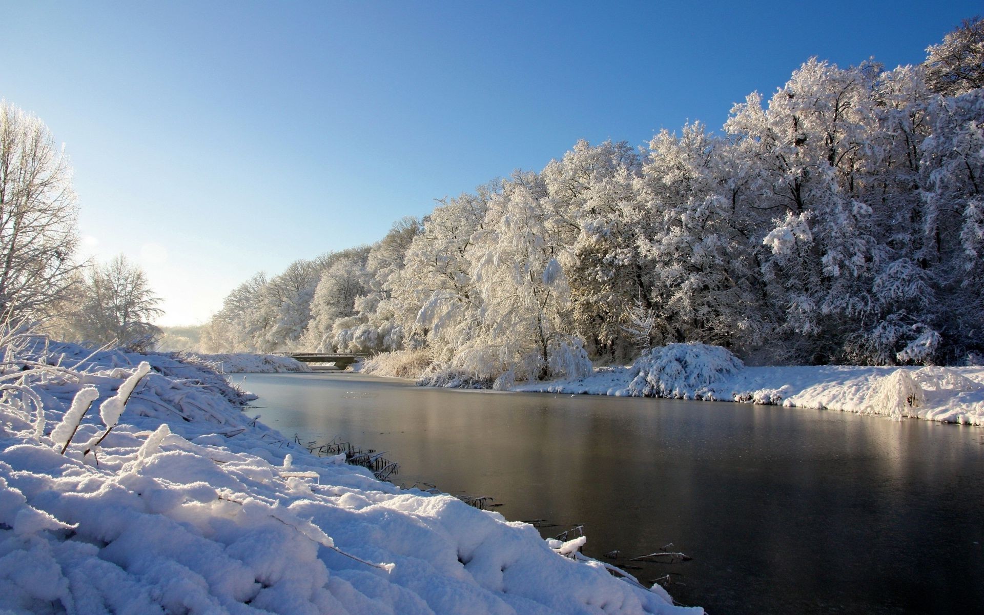 rivers ponds and streams snow winter ice cold frost frozen landscape tree water nature wood scenic frosty outdoors mountain weather