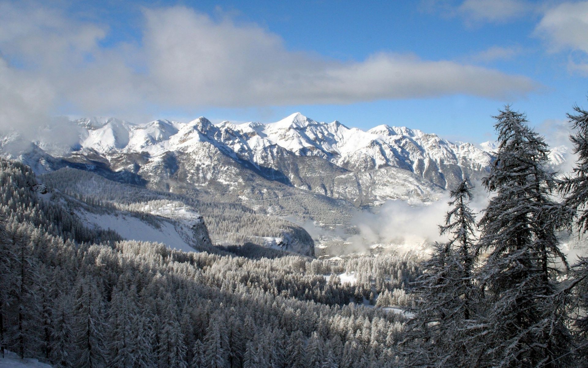 inverno neve montanhas madeira frio gelo cênica neve geada paisagem evergreen pico de montanha coníferas alpino