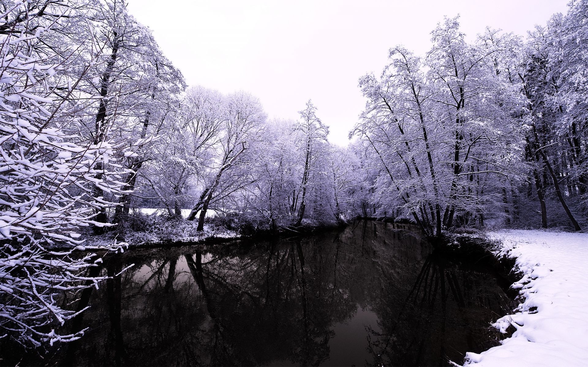 ríos estanques y arroyos estanques y arroyos invierno nieve árbol frío escarcha madera paisaje hielo congelado temporada naturaleza rama parque escénico tiempo niebla hielo blanco como la nieve paisajes