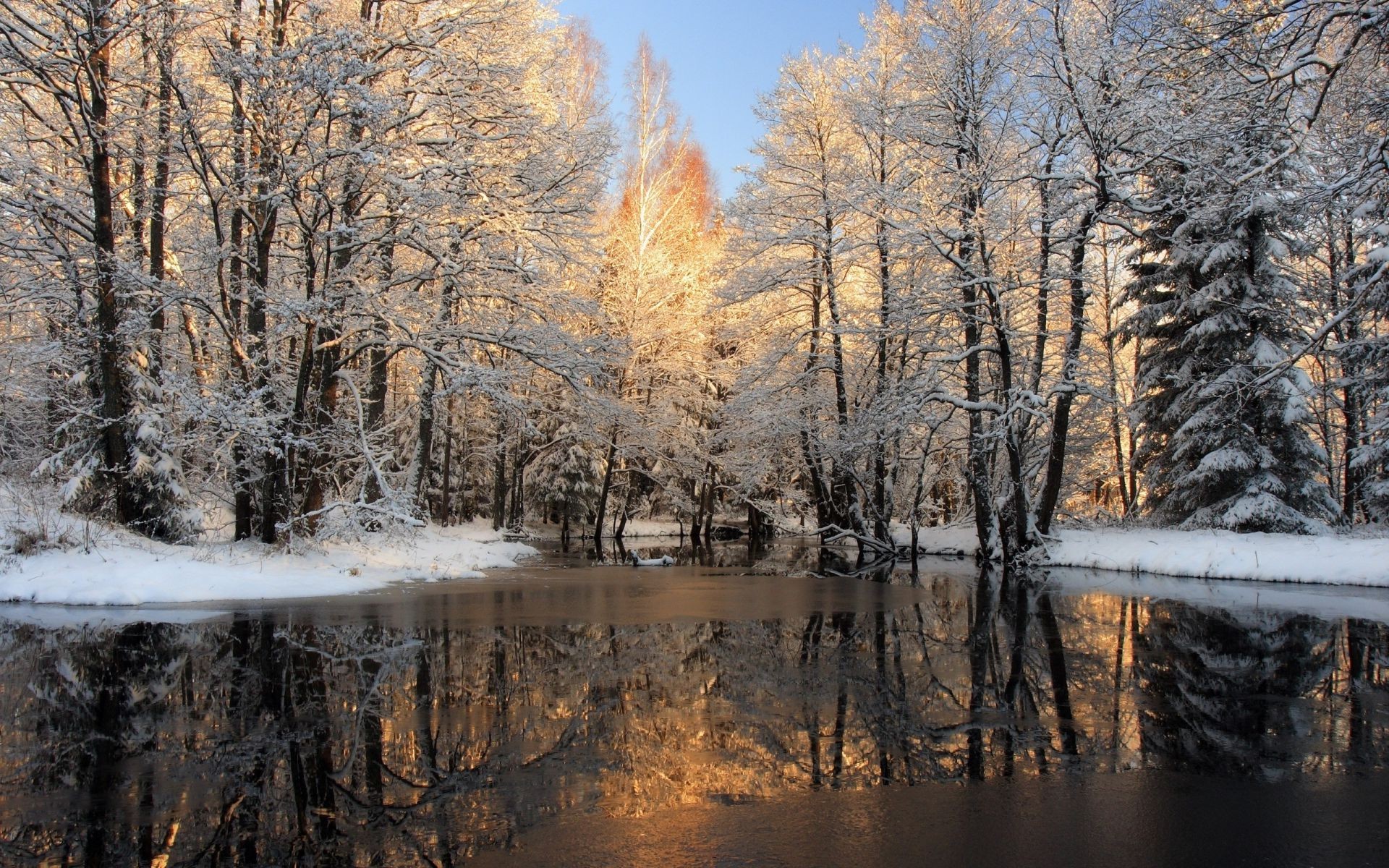 flüsse teiche und bäche teiche und bäche holz winter schnee baum herbst landschaft natur frost kälte jahreszeit landschaftlich im freien eis gutes wetter wetter gefroren zweig dämmerung park