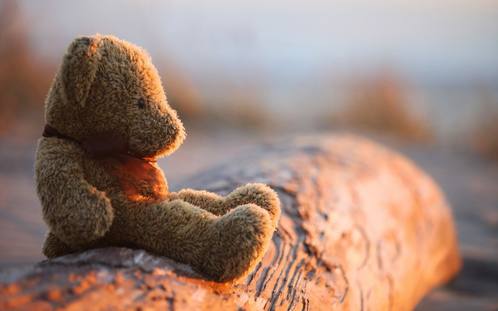 природа на открытом воздухе еда