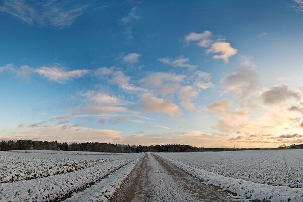 Route d hiver au milieu d un champ d hiver