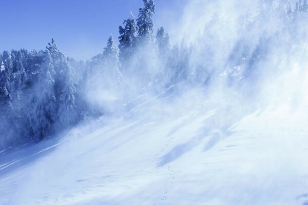 Snowstorm on the mountainside. Winter