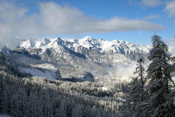 Schneebedeckte Berge und Winterwald