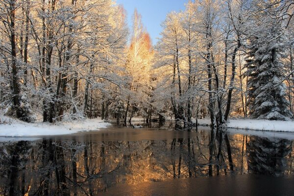 Spring river at sunrise