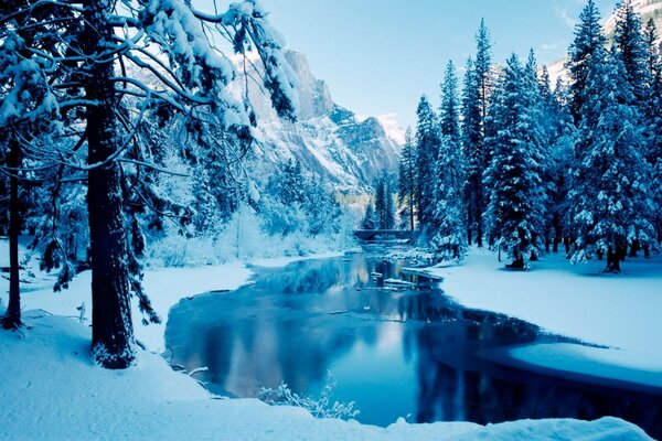 Kış ormanının ortasında nehir