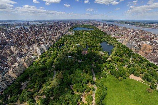 Central Park in New York City