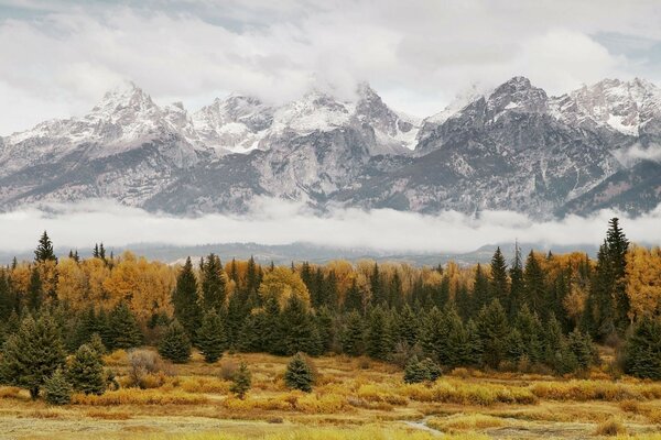 Majestätische Berge im Herbstwald