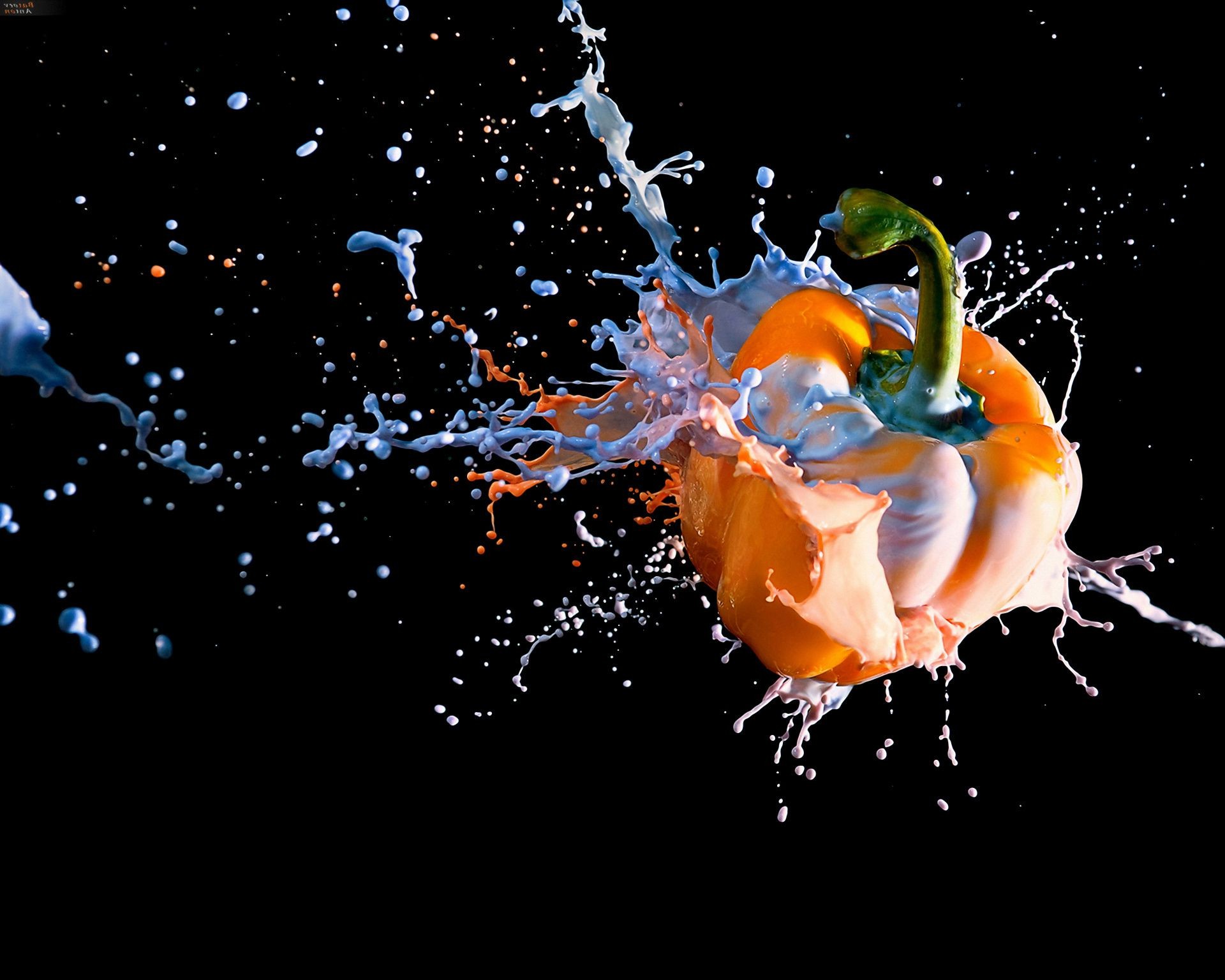 abstract and graphics motion splash drop water underwater desktop wet abstract light invertebrate nature color energy