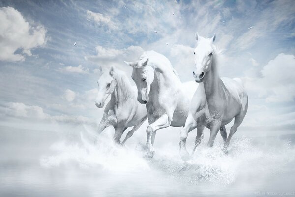 White horses gallop into non-being