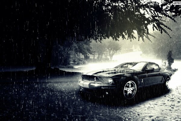 Black racing car in the rain by a tree