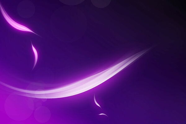 Abstract lilac petals flying on a purple background