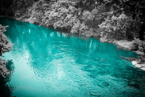 Descansar agua azul bajo el agua