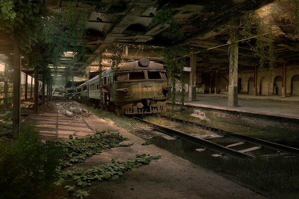 An abandoned railway train covered in grass