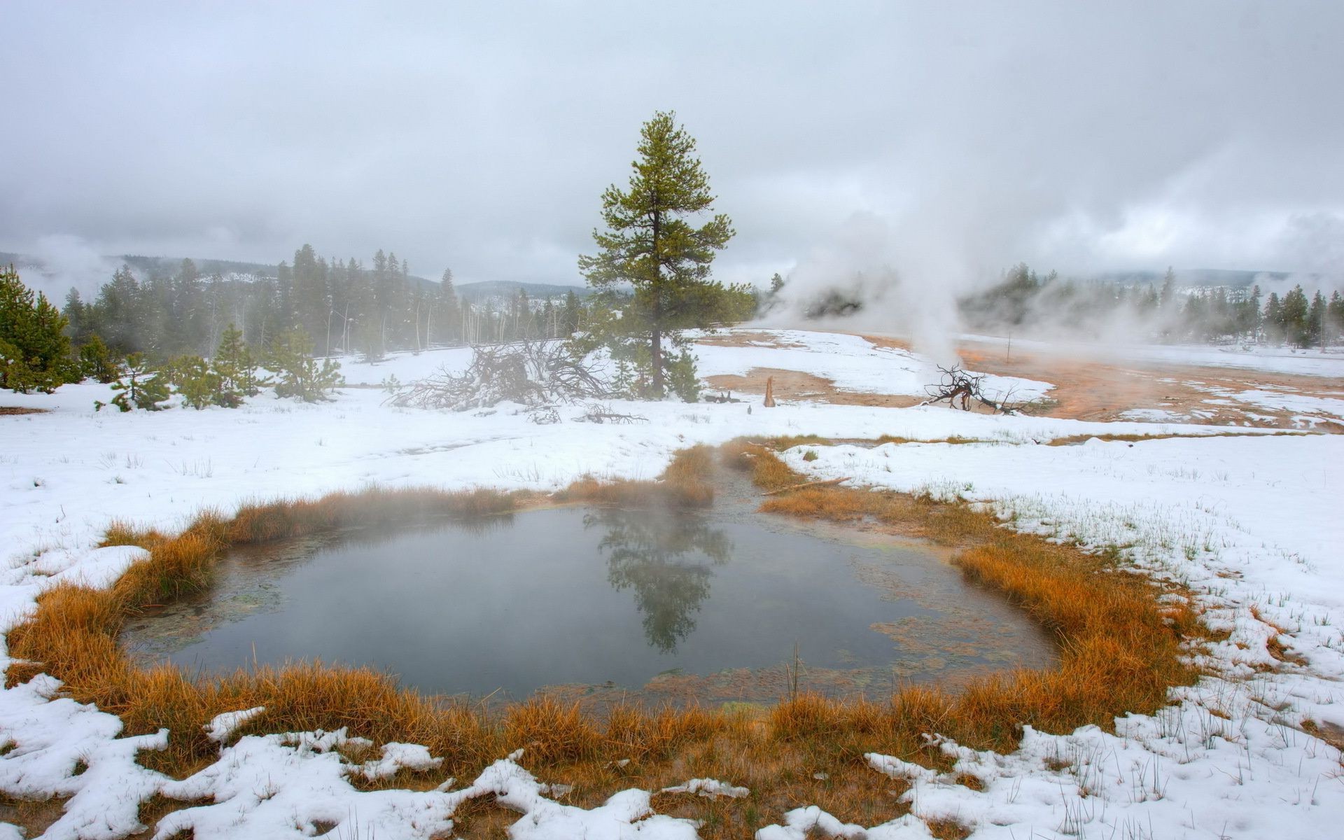 see landschaft nebel geysir natur paar winter nebel heißer frühling schnee wasser im freien abgekocht holz wärme holz geothermie dämmerung