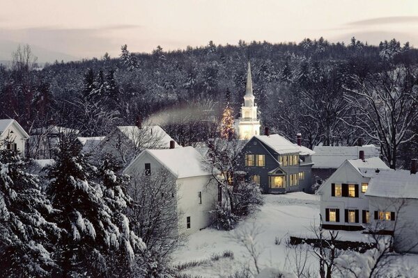 Cold and snowy winter in the village