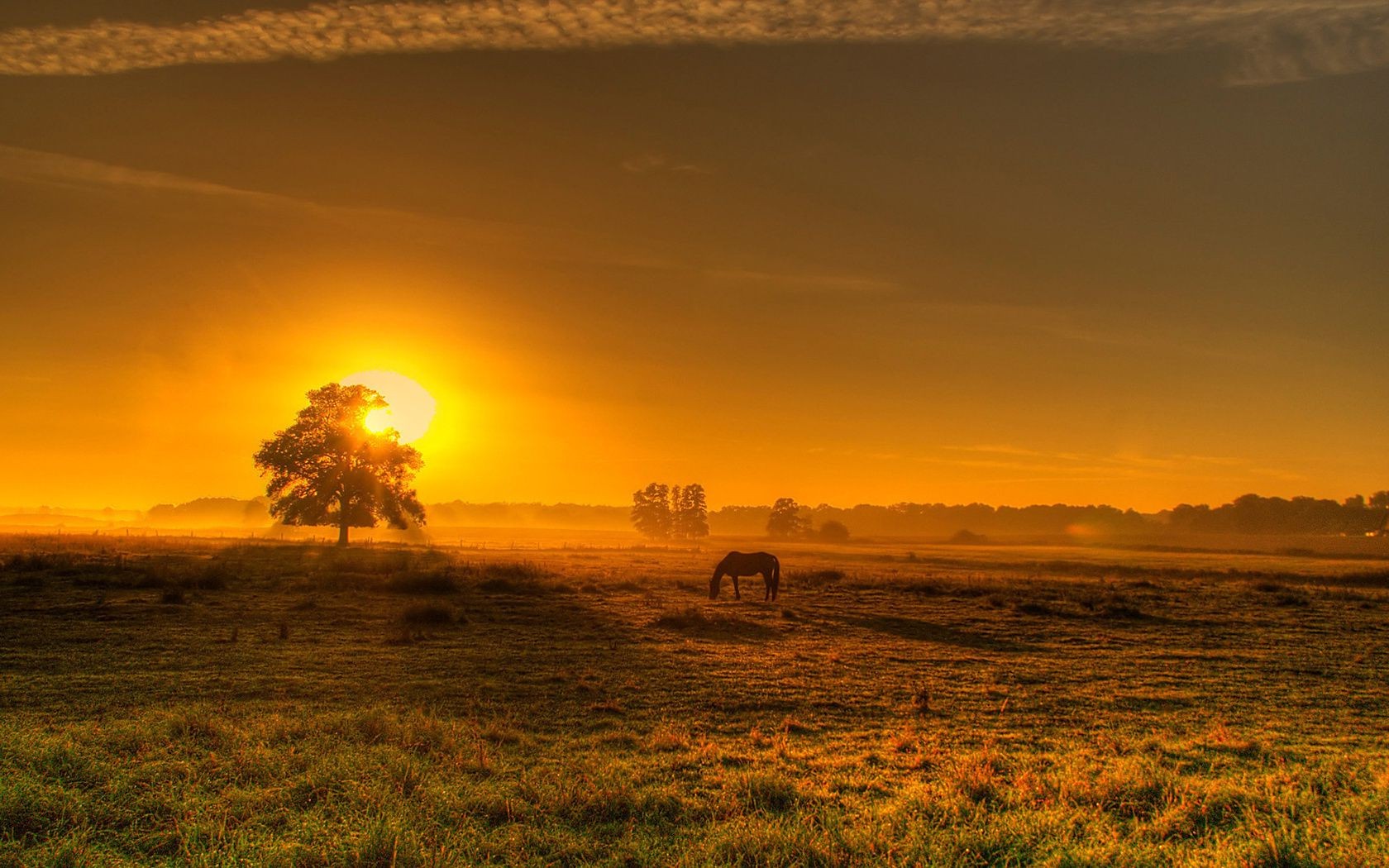 fields meadows and valleys sunset dawn sun landscape evening sky dusk nature fair weather