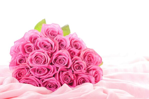 Ніжність троянд підкреслить ніжність нареченої