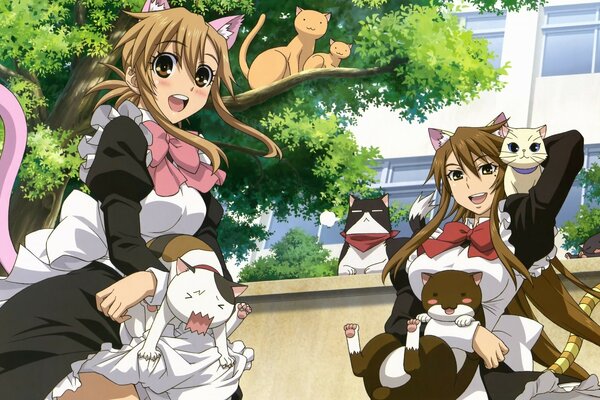 Lovers of cats from anime