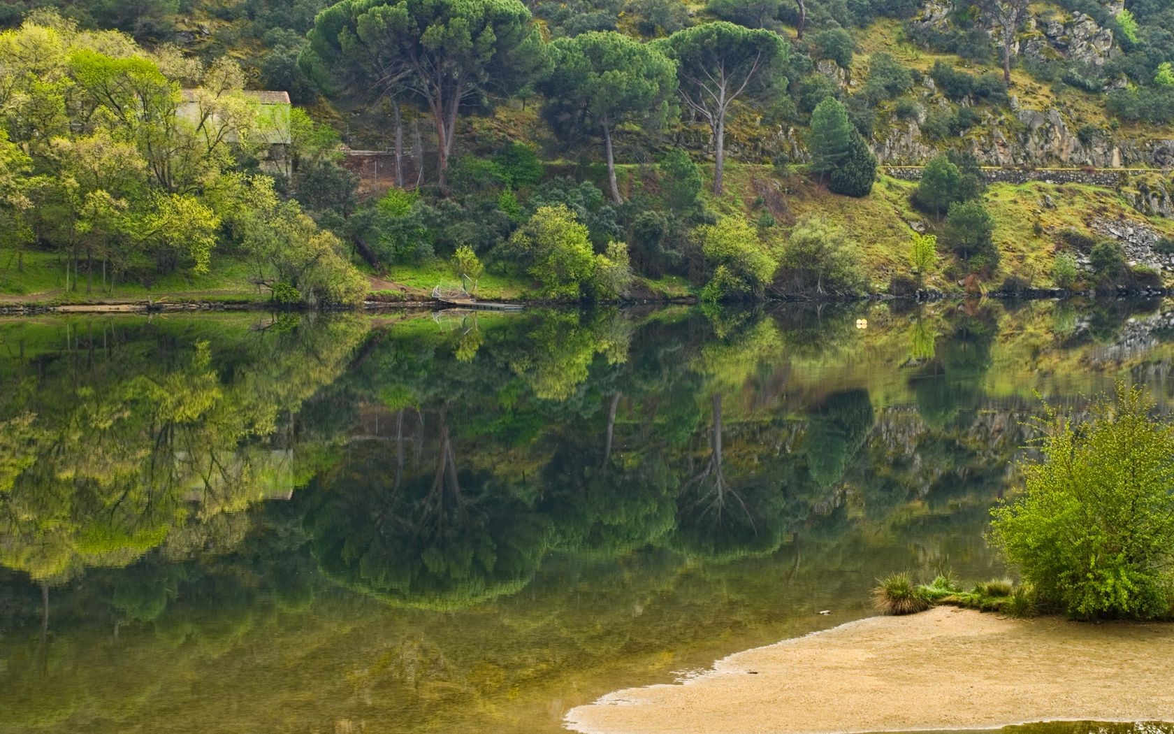 rivers ponds and streams nature landscape water tree wood travel tropical river summer mountain outdoors scenic sky rainforest beautiful flora environment grass leaf