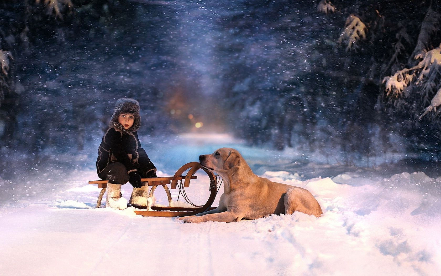 children with animals snow adult winter one recreation mammal cold portrait action woman two