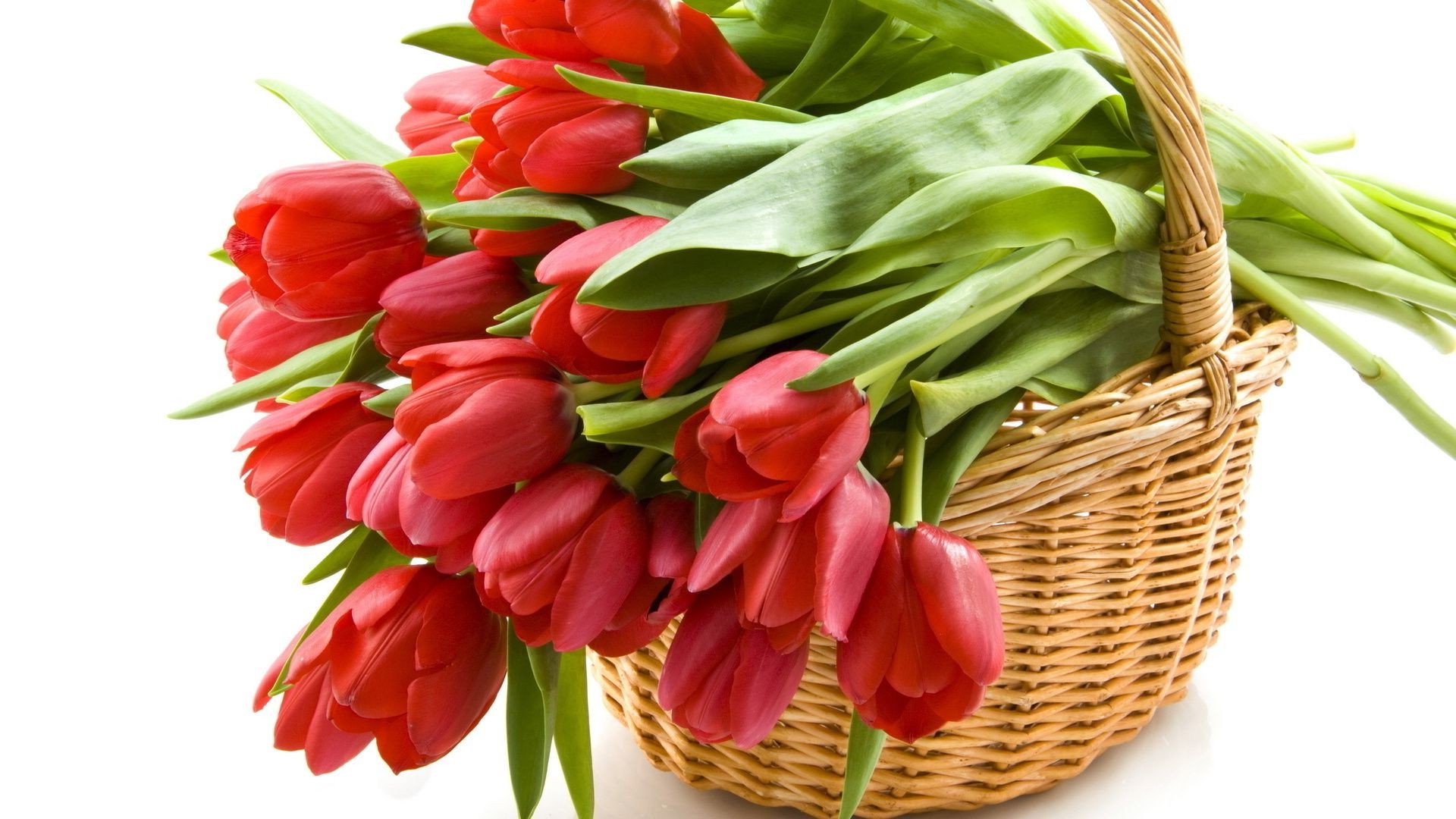 tulips nature leaf basket isolated cluster garden easter flora bouquet bright health husk