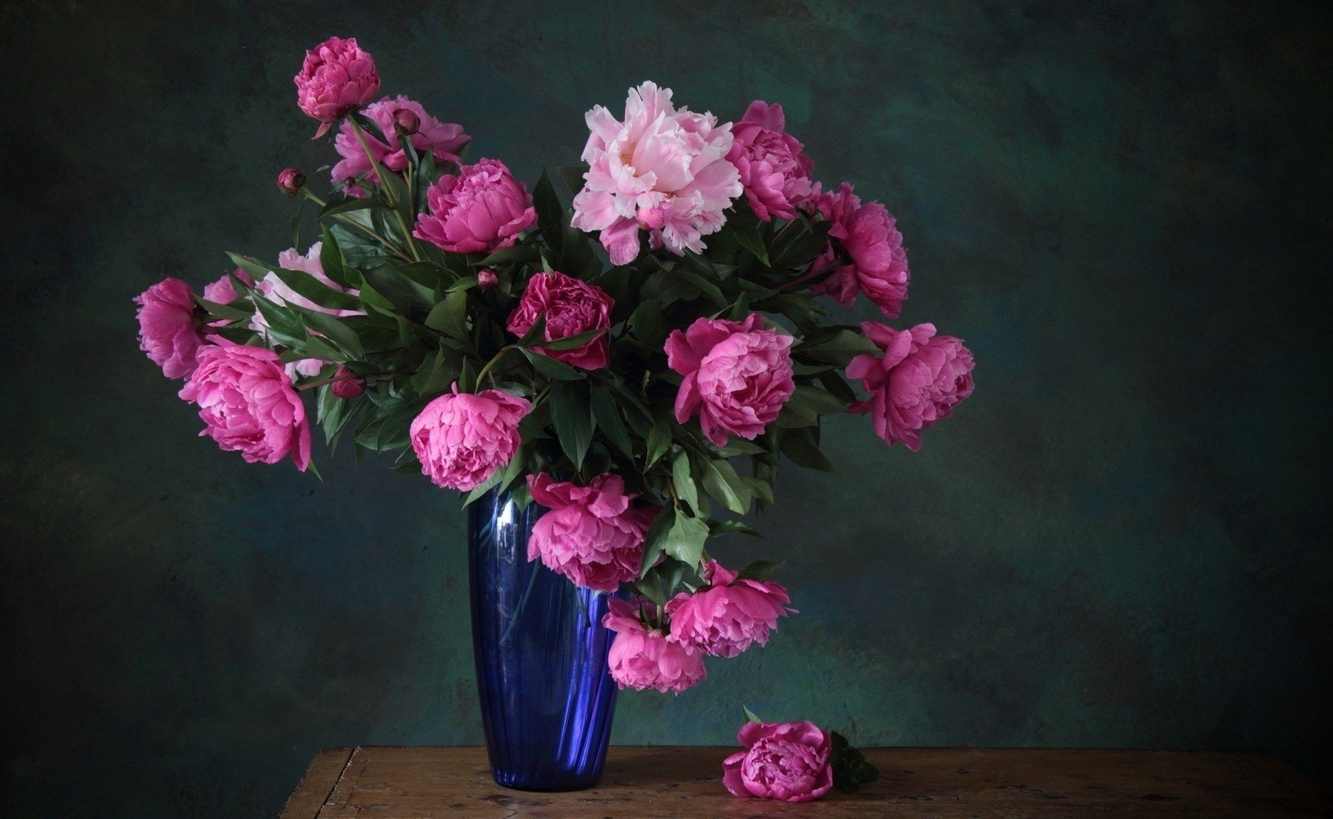 dans un vase ou un pot fleur bouquet rose feuille floral pétale flore pivoine arrangement floral nature bluming décoration vase couleur