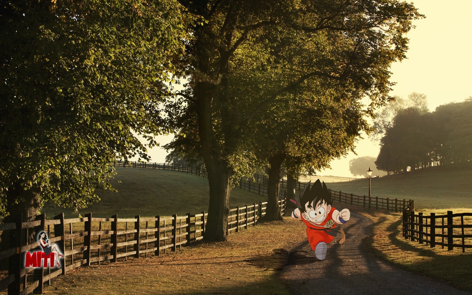 anime árbol cerca paisaje parque al aire libre carretera banco niño hierba niña amanecer madera luz