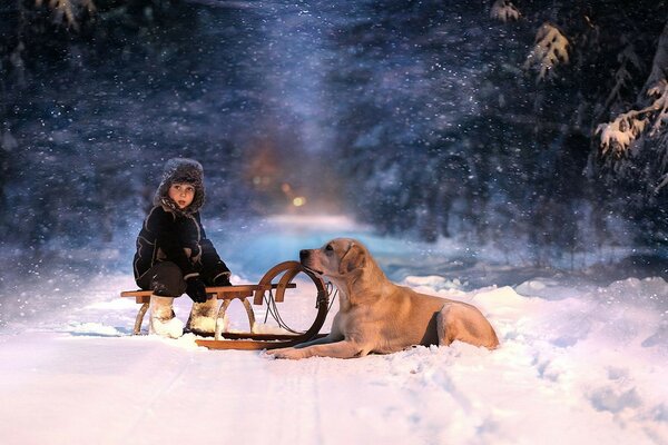 Winter snowy evening with a loyal friend