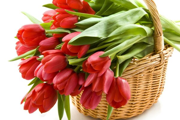 Panier de tulipes rouges pour vous