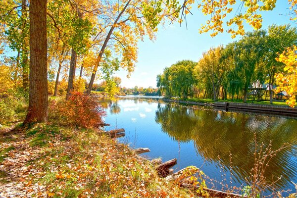 El otoño es bueno de oro en azul