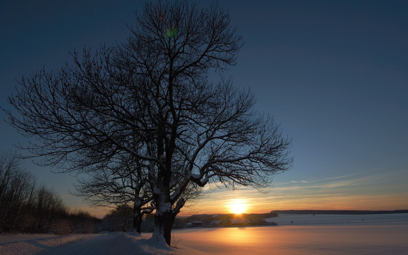 tramonto e alba alba tramonto paesaggio albero sole inverno natura sera nebbia neve crepuscolo bel tempo silhouette all aperto luce cielo acqua illuminato autunno