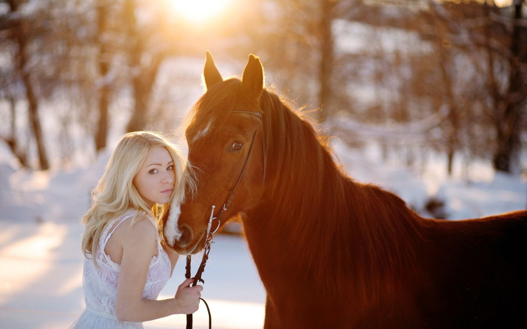 amore e romanticismo inverno neve natura all aperto freddo ragazza donna bella ritratto ghiaccio autunno uno tramonto bel tempo gelo cavalleria vacanze