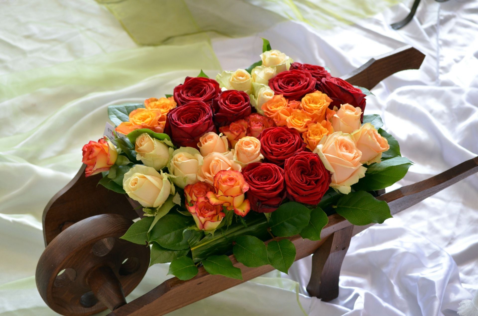 rosas casamento amor buquê flor romance feriado casamento recepção decorações noiva folha