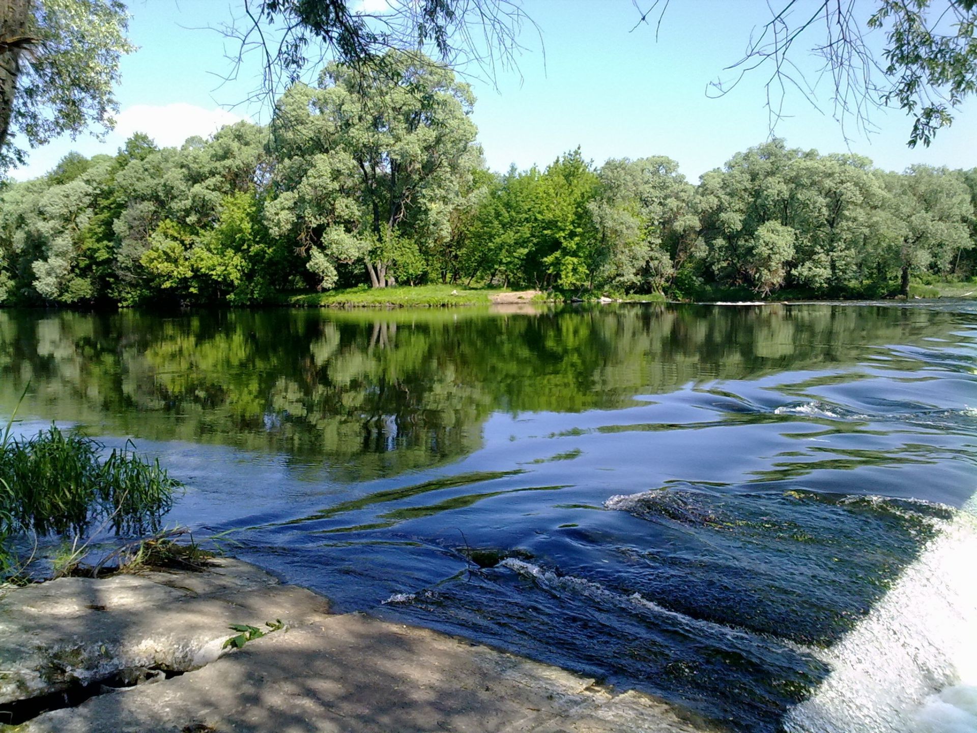 річки ставки і струмки ставків і струмків води річка природа дерево відображення пейзаж літо озеро потік парк басейн на відкритому повітрі деревини трава лист середовища флора подорожі холоднокровність