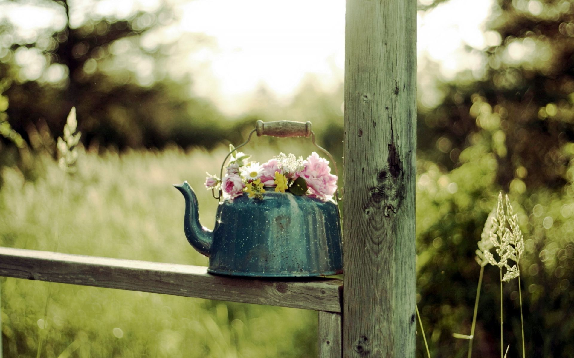 flowers flower garden wood fence nature rustic tree wooden vintage summer outdoors grass