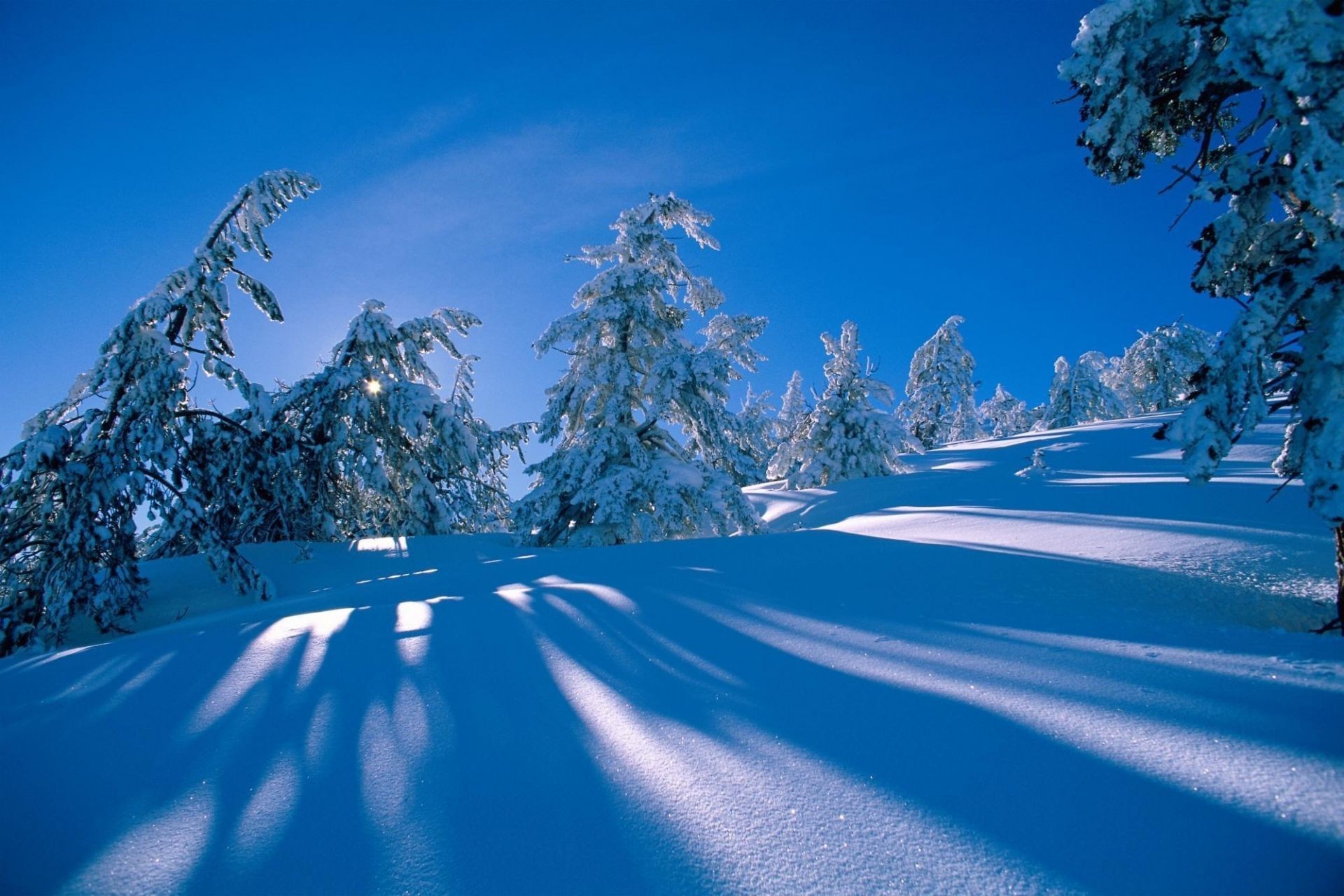 invierno nieve frío montaña escarcha hielo escénico madera congelado paisaje árbol temporada helada tiempo nevado