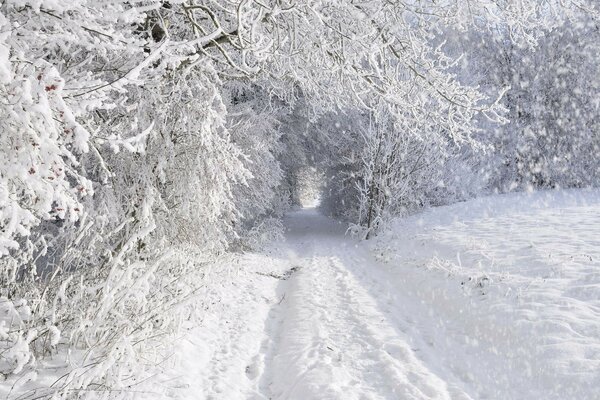 Verschneite Passagen in Wintermärchen