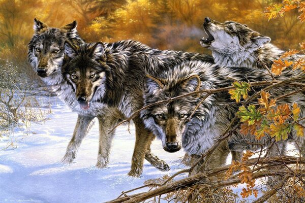 Quatro lobos em uma floresta de inverno com árvores