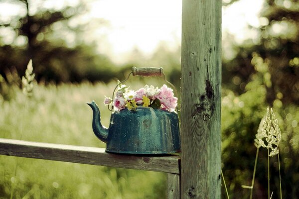 Vintage Teekanne mit Blumen in der Nähe des Zauns