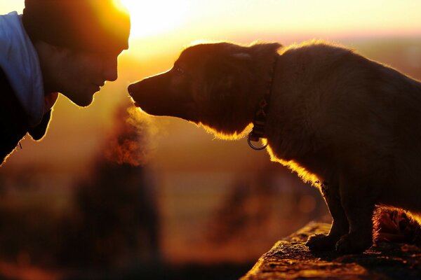 İnsan köpeğin dostudur, etrafındaki herkes bunu biliyor