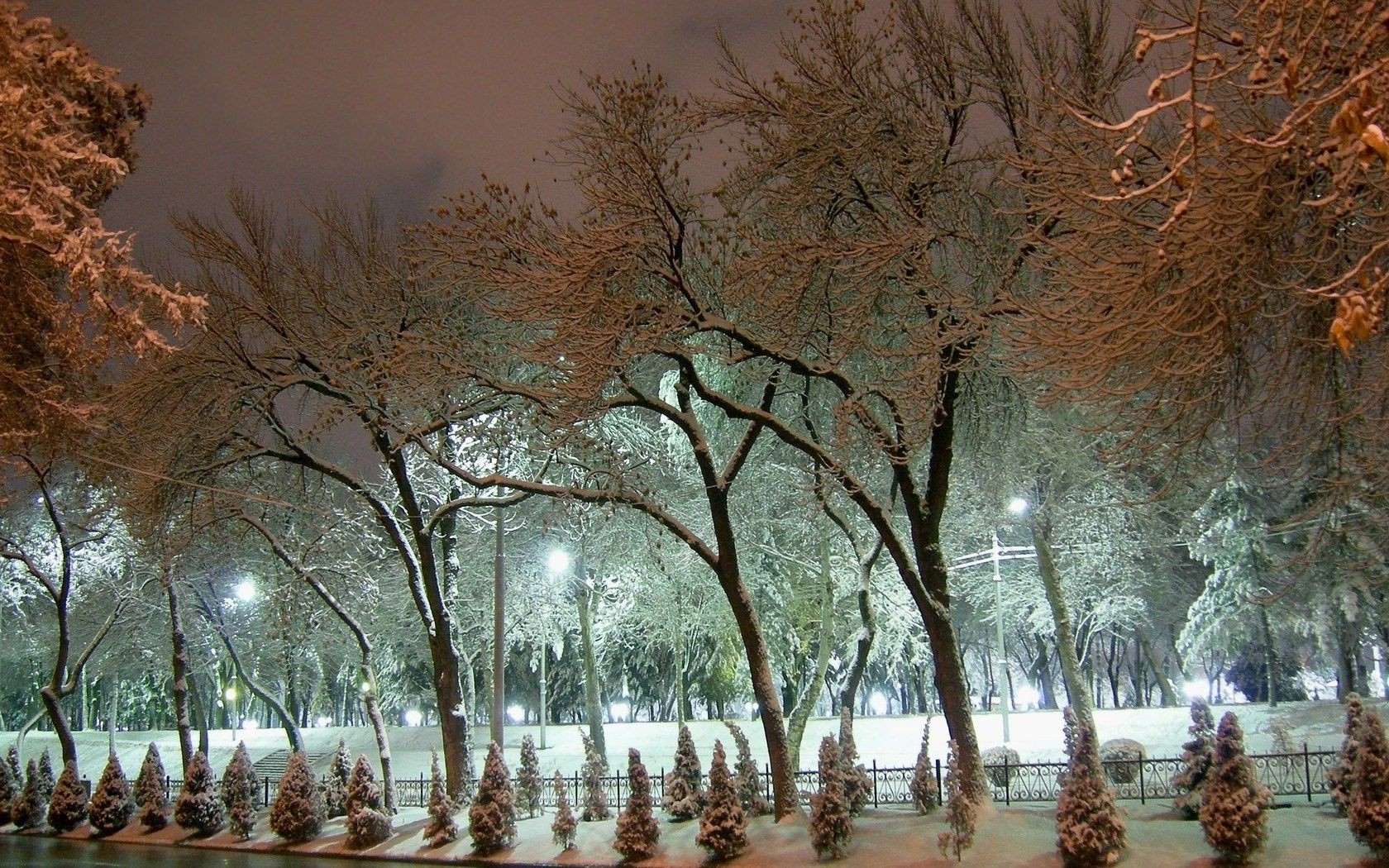 hiver arbre neige paysage parc froid bois groupe à l extérieur